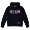 Buzo hombre azul oscuro NY