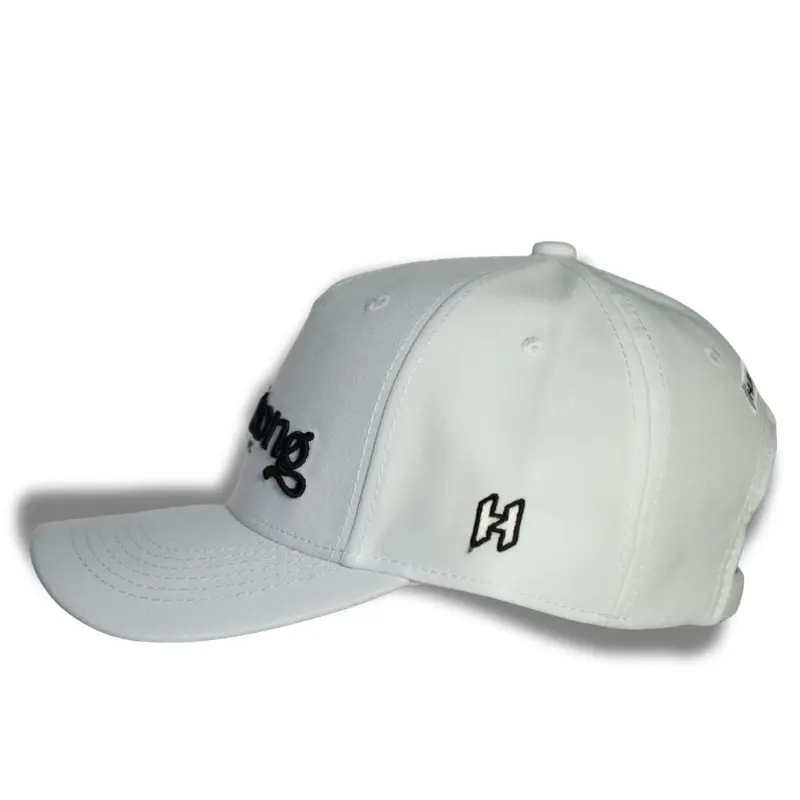 Gorra dpt Hurlintong