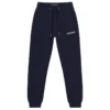 Jogger algodón hombre azul new